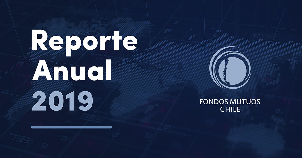 AAFM - Reporte Anual 2019